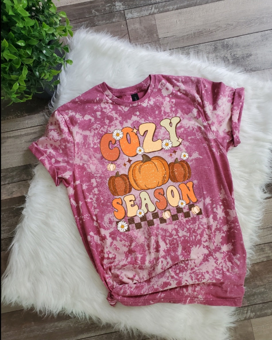 Cozy Season Fall Bleached Tee